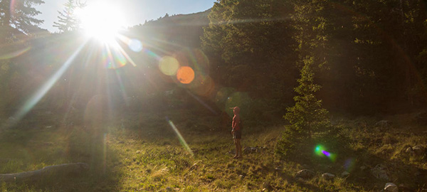 EXPLORER_forestbathing