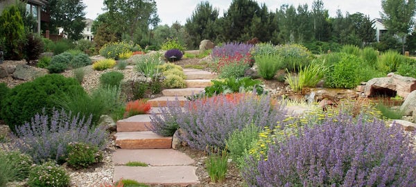 Home_Xeriscape_32724