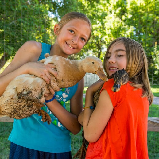 ChatfieldFarms-CampGuide-1200X1200jpg