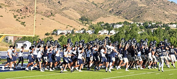 THELOCAL_Minespreview